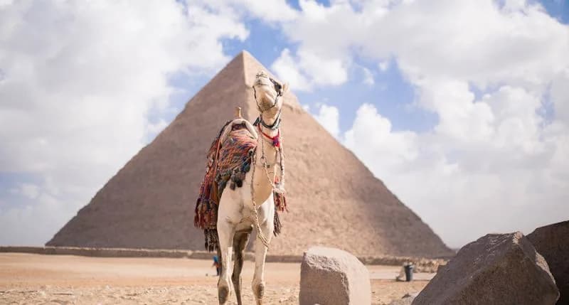 Circuit En Égypte En 11 Jours Circuit En Égypte En 11 Jours
