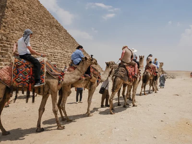 Una caravana de camellos para turistas en la zona de las pirámides de Guiza. Una caravana de camellos para turistas en la zona de las pirámides de Giza.