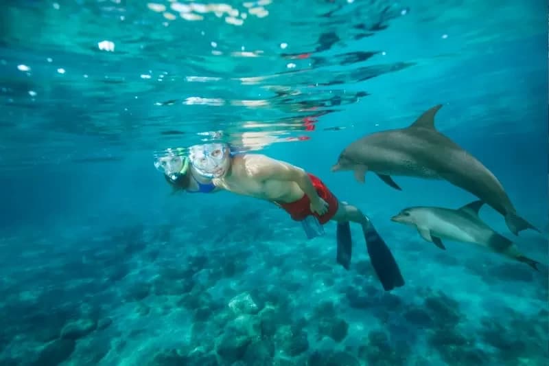 mar rosso egitto , cairo crociera e marsa alam mar rosso egitto , cairo crociera e marsa alam